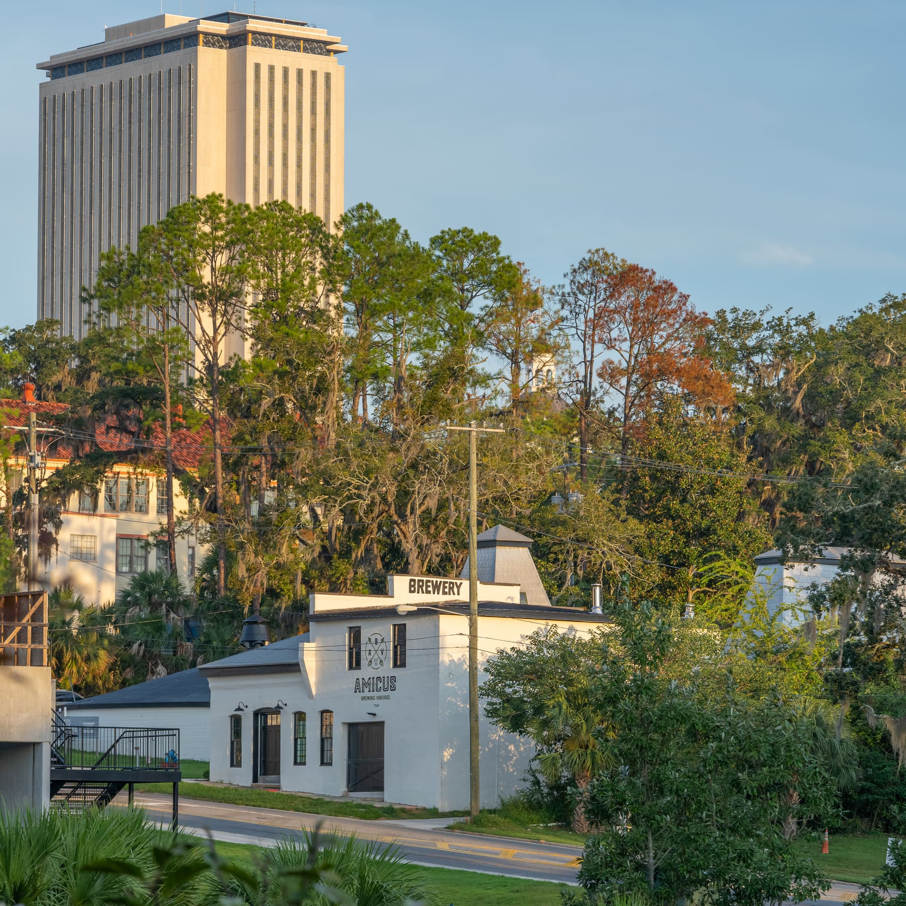 The white Amicus brewery building from across the street, with the Florida Capitol tower rising behind the trees.
